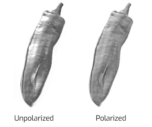 Polarization removes glare from shiny vegetables
