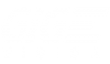 gige-vision-logo