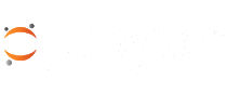 Jupyter Notebooks Logo