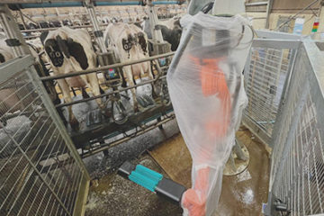 通过 3D 视觉与机器人技术实现奶牛养殖场卫生自动化