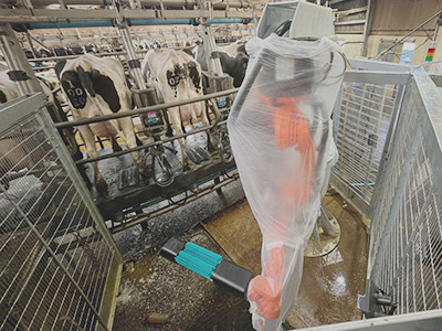 通过 3D 视觉与机器人技术实现奶牛养殖场卫生自动化