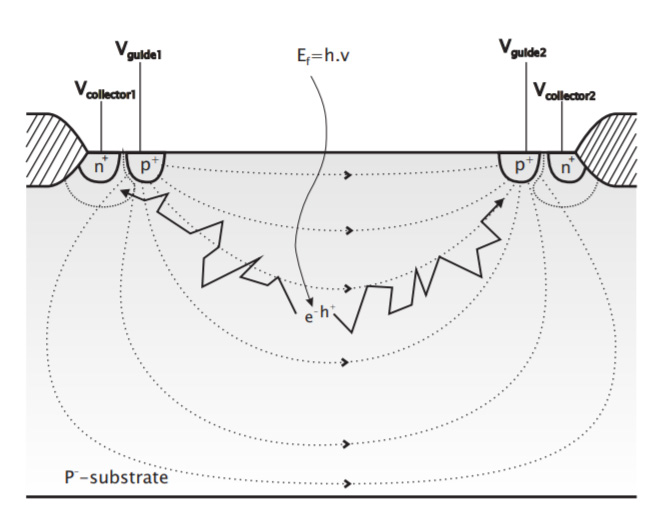 CAPD Cross Diagram