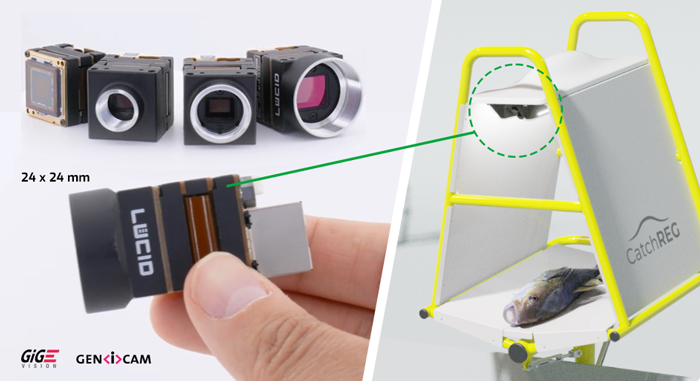 面向小型渔业的自动化渔获登记